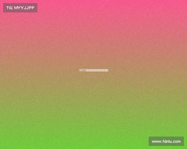 WFD战队锋芒出鞘，新征程蓄势待发